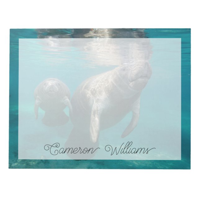 Cutest Baby Animals | Manatee & Baby Notepad (Front)