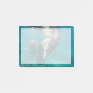 Cutest Baby Animals Manatee & Baby Post-it Notes