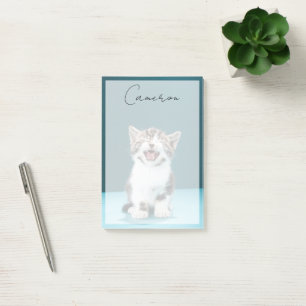 Cutest Baby Animals   Meowing Baby Kitten Post-it Notes