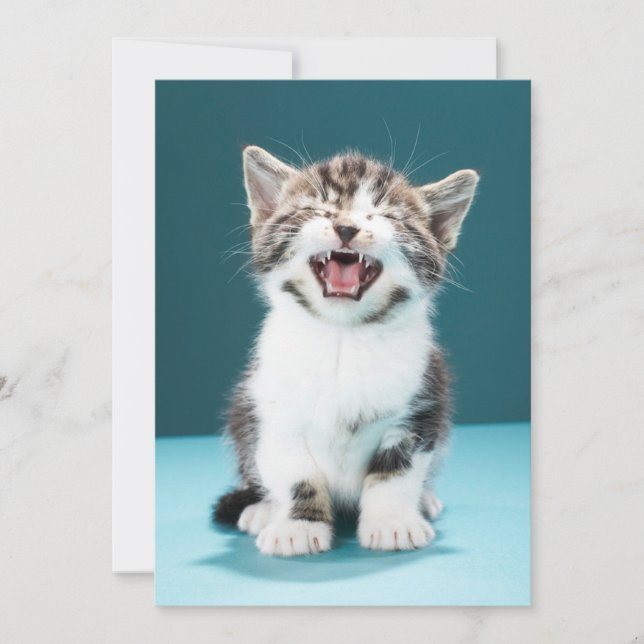 Cutest Baby Animals | Meowing Baby Kitten Thank You Card (Front)