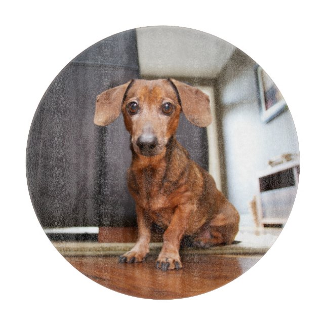 Cutest Baby Animals | Mini Dachshund Puppy Cutting Board (Front)