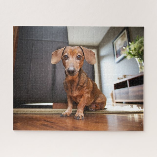 Cutest Baby Animals | Mini Dachshund Puppy Jigsaw Puzzle (Horizontal)