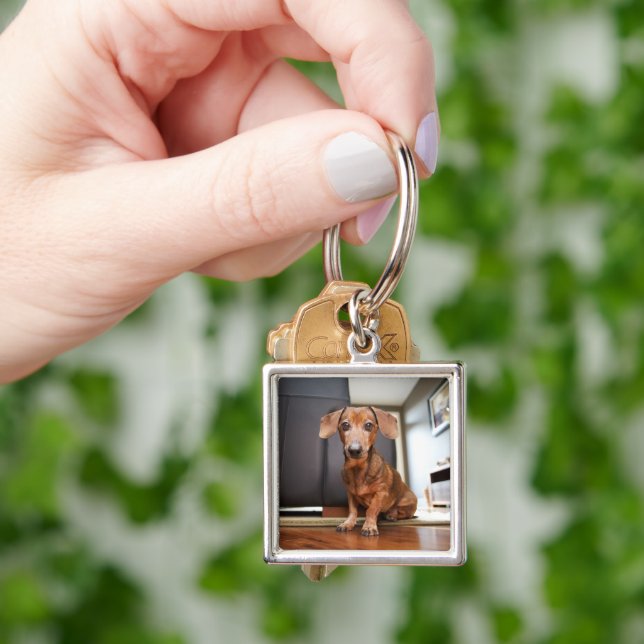 Cutest Baby Animals | Mini Dachshund Puppy Key Ring (Hand)