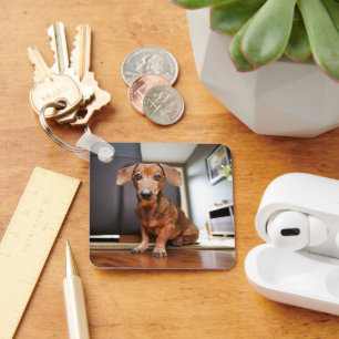 Cutest Baby Animals Mini Dachshund Puppy Key Ring