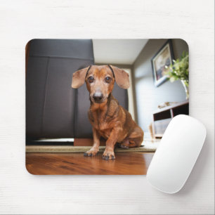 Cutest Baby Animals Mini Dachshund Puppy Mouse Pad