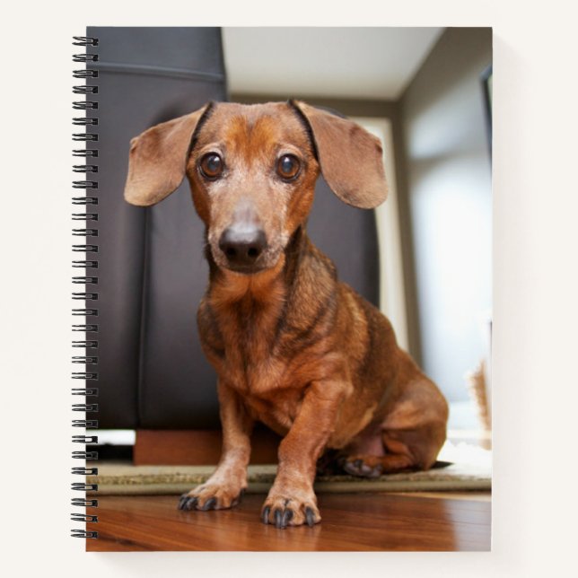 Cutest Baby Animals | Mini Dachshund Puppy Notebook (Front)