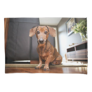 Cutest Baby Animals   Mini Dachshund Puppy Pillowcase