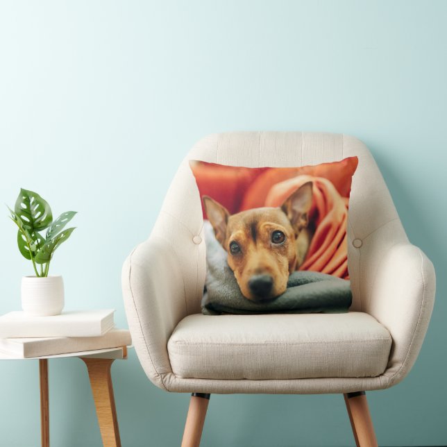 Cutest Baby Animals | Miniature Pinscher Cushion (Chair)