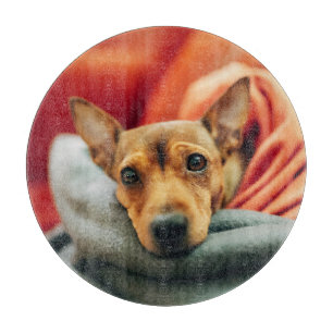 Cutest Baby Animals   Miniature Pinscher Cutting Board