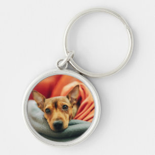 Cutest Baby Animals   Miniature Pinscher Key Ring