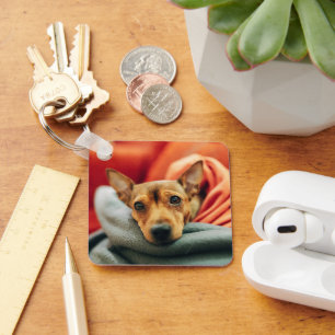 Cutest Baby Animals Miniature Pinscher Key Ring