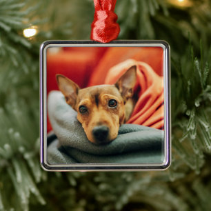 Cutest Baby Animals Miniature Pinscher Metal Ornament