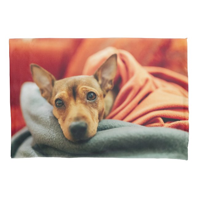 Cutest Baby Animals | Miniature Pinscher Pillowcase (Front)