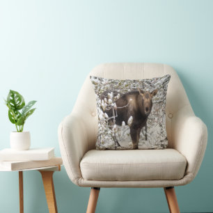 Cutest Baby Animals   Moose Calf Cushion