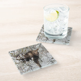 Cutest Baby Animals   Moose Calf Glass Coaster