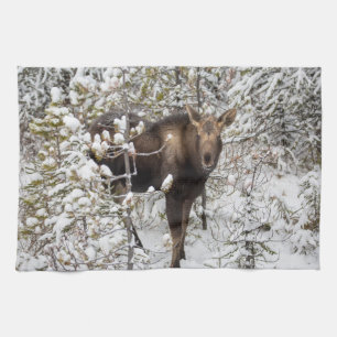 Cutest Baby Animals   Moose Calf Tea Towel