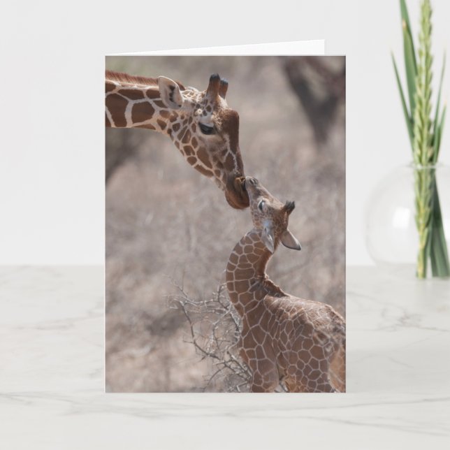 Cutest Baby Animals | Mother and Baby Giraffe Card (Front)