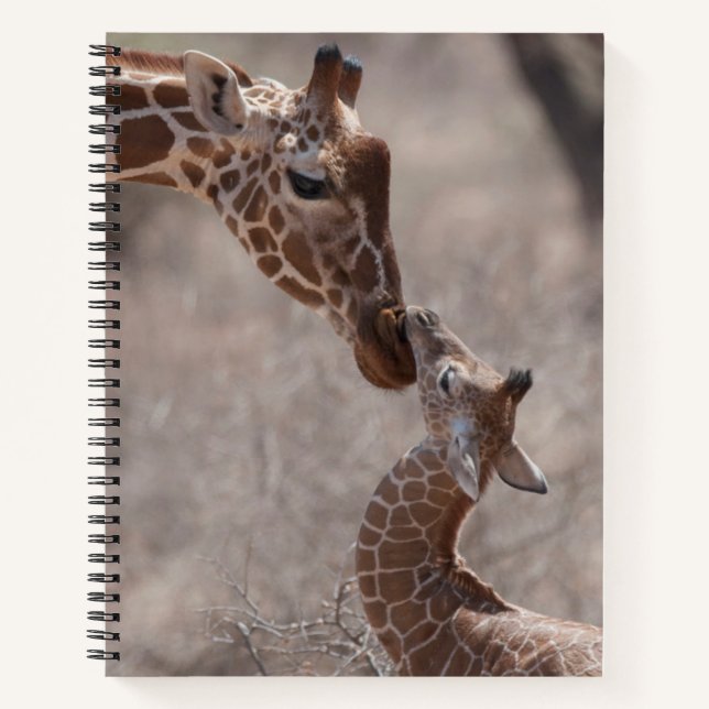 Cutest Baby Animals | Mother and Baby Giraffe Notebook (Front)