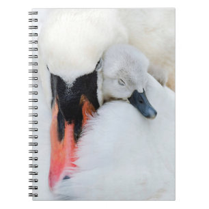 Cutest Baby Animals Mother & Baby Mute Swan Notebook