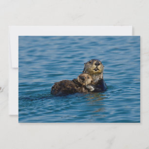Cutest Baby Animals Mother & Baby Sea Otter Thank You Card