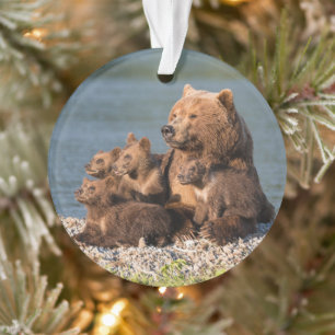 Cutest Baby Animals   Mother Bear & Cubs Ornament