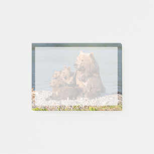 Cutest Baby Animals Mother Bear & Cubs Post-it Notes