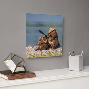 Cutest Baby Animals   Mother Bear & Cubs Square Wall Clock