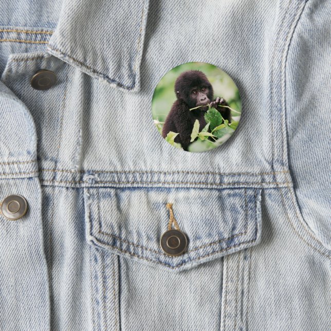 Cutest Baby Animals | Mountain Gorilla Baby 6 Cm Round Badge (In Situ)