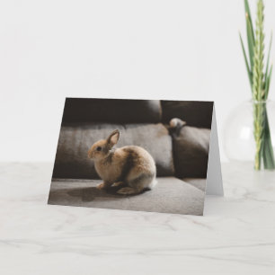 Cutest Baby Animals Netherland Dwarf Rabbit Card