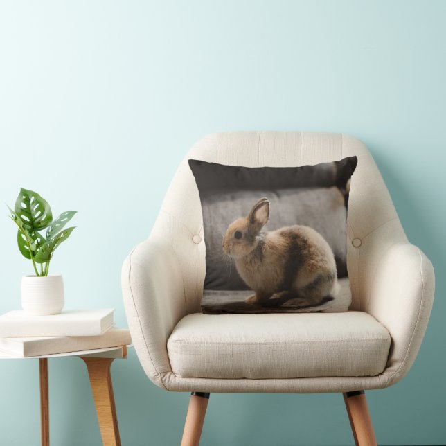 Cutest Baby Animals | Netherland Dwarf Rabbit Cushion (Chair)