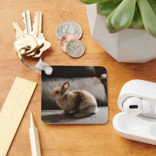 Cutest Baby Animals | Netherland Dwarf Rabbit Key Ring (Desk)