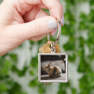 Cutest Baby Animals Netherland Dwarf Rabbit Key Ring
