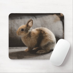 Cutest Baby Animals Netherland Dwarf Rabbit Mouse Pad