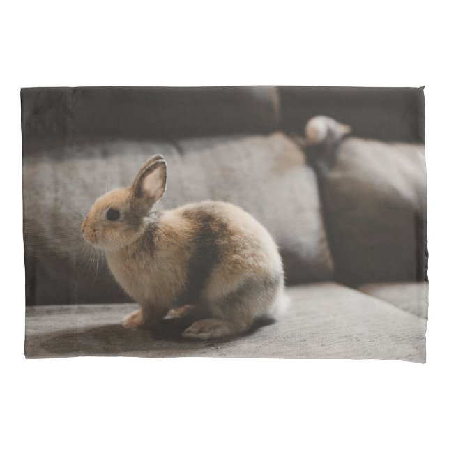 Cutest Baby Animals | Netherland Dwarf Rabbit Pillowcase (Front)