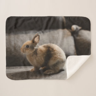 Cutest Baby Animals Netherland Dwarf Rabbit Sherpa Blanket