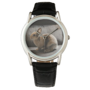 Cutest Baby Animals   Netherland Dwarf Rabbit Watch