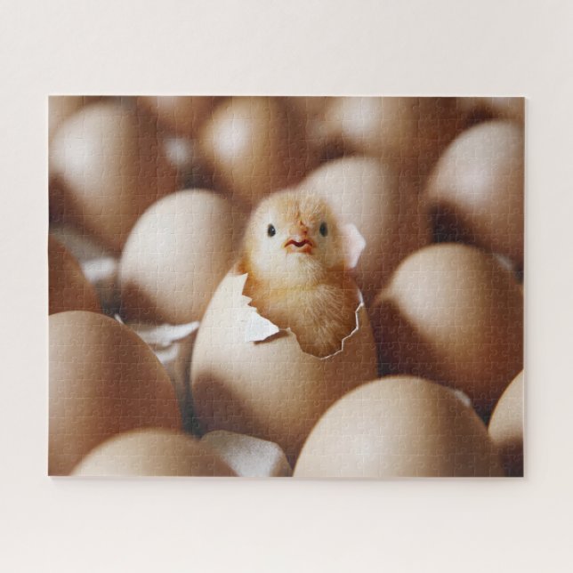 Cutest Baby Animals | New Baby Chick Jigsaw Puzzle (Horizontal)
