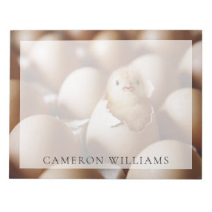 Cutest Baby Animals   New Baby Chick Notepad