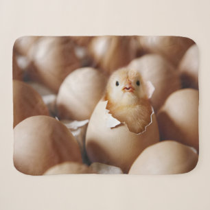 Cutest Baby Animals New Baby Chick Sherpa Blanket
