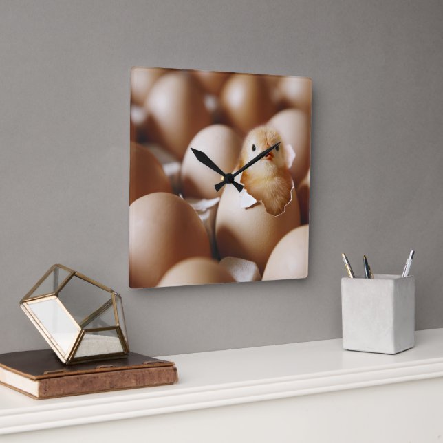 Cutest Baby Animals | New Baby Chick Square Wall Clock (Office)