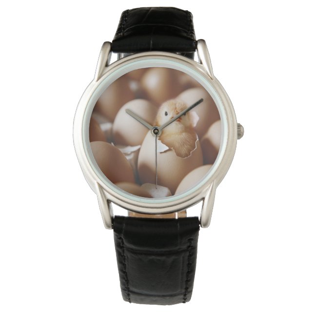 Cutest Baby Animals | New Baby Chick Watch (Front)