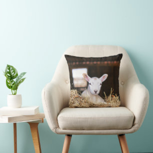 Cutest Baby Animals Newborn Lamb Cushion
