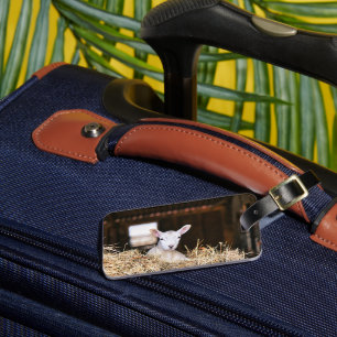 Cutest Baby Animals   Newborn Lamb Luggage Tag