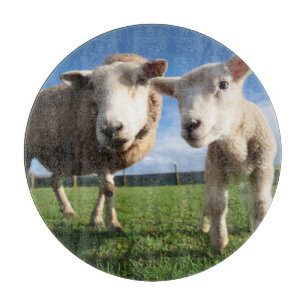 Cutest Baby Animals Newborn Lamb & Mama Cutting Board