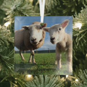 Cutest Baby Animals Newborn Lamb & Mama Glass Tree Decoration