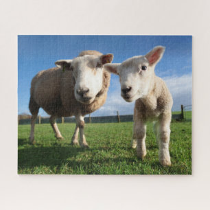 Cutest Baby Animals   Newborn Lamb & Mama Jigsaw Puzzle