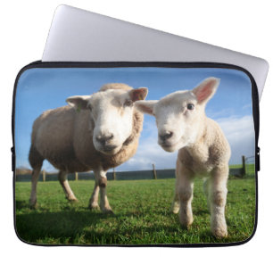 Cutest Baby Animals   Newborn Lamb & Mama Laptop Sleeve