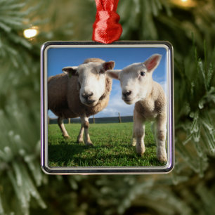 Cutest Baby Animals Newborn Lamb & Mama Metal Ornament