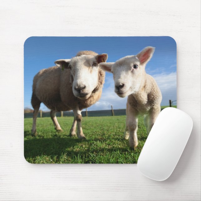Cutest Baby Animals | Newborn Lamb & Mama Mouse Pad (With Mouse)