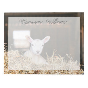 Cutest Baby Animals   Newborn Lamb Notepad